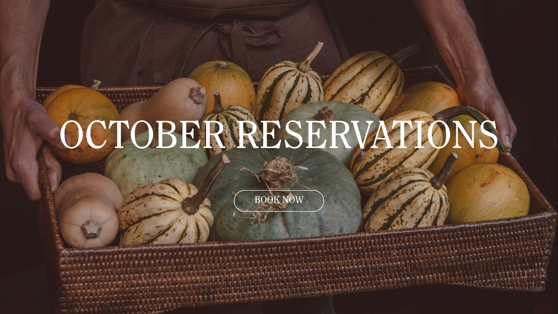 OCT RES